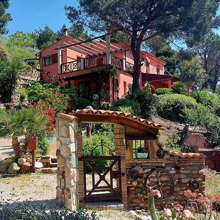 Villetta Dei Fichi D'India Rio dellʼElba Екстериор снимка