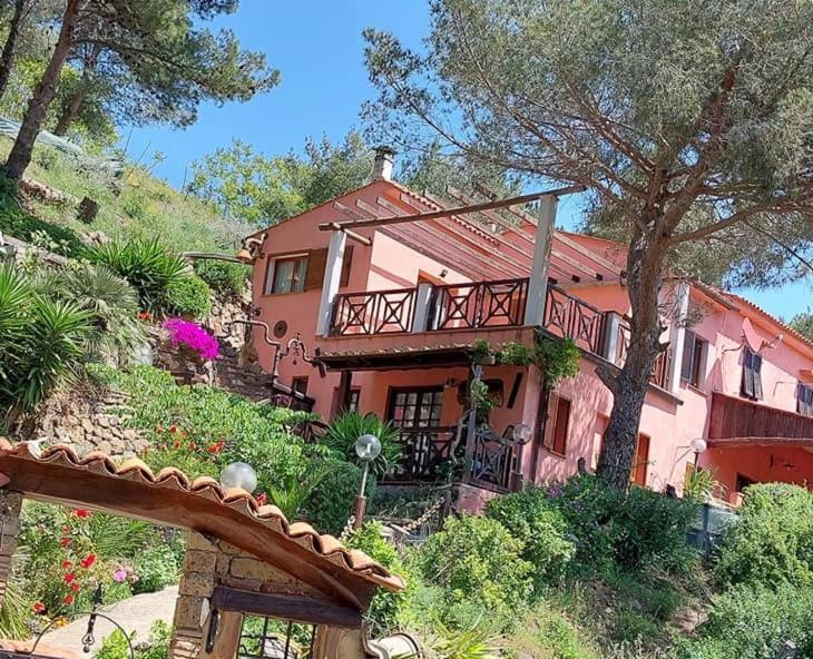 Villetta Dei Fichi D'India Rio dellʼElba Екстериор снимка