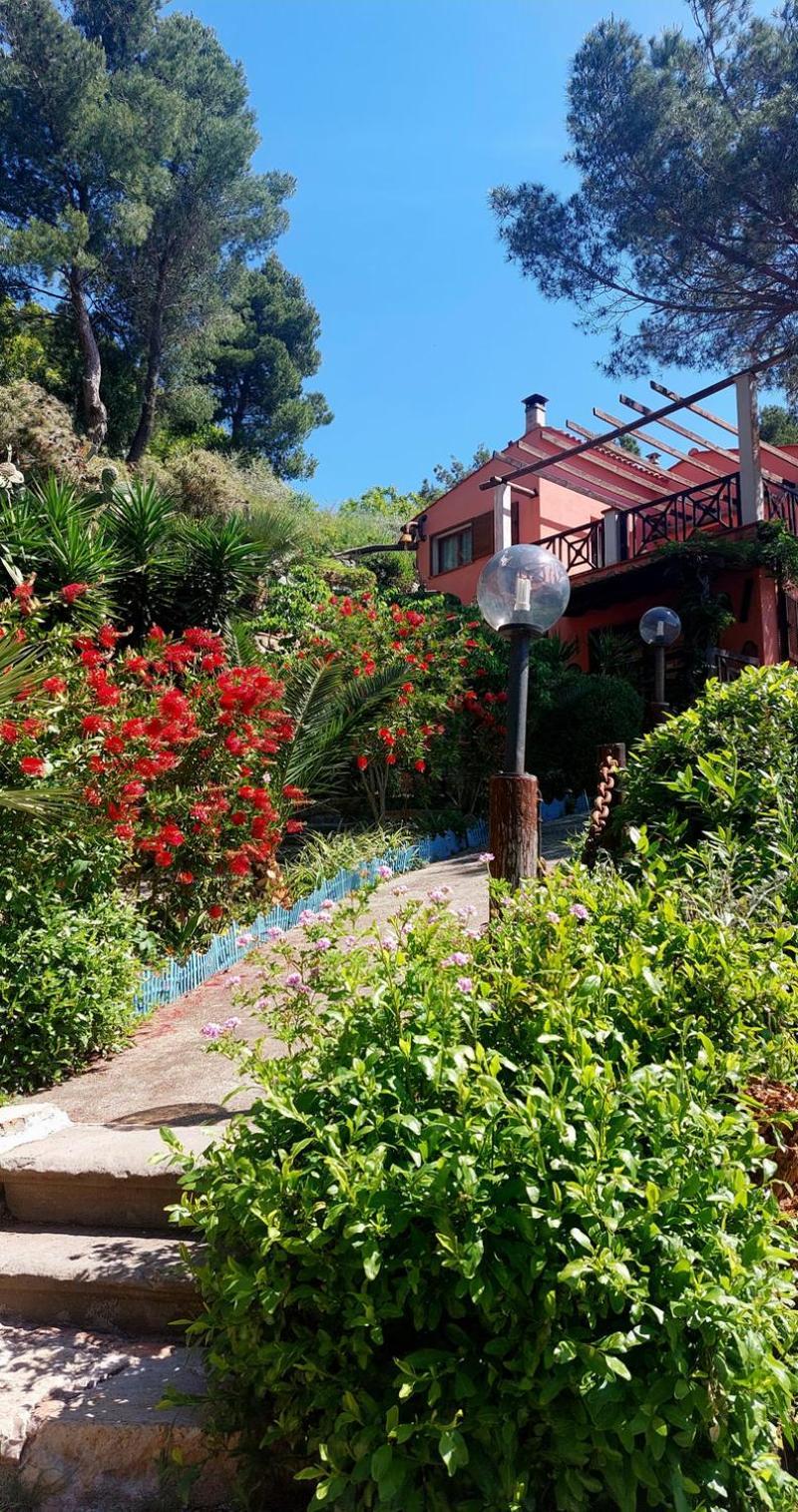 Villetta Dei Fichi D'India Rio dellʼElba Екстериор снимка