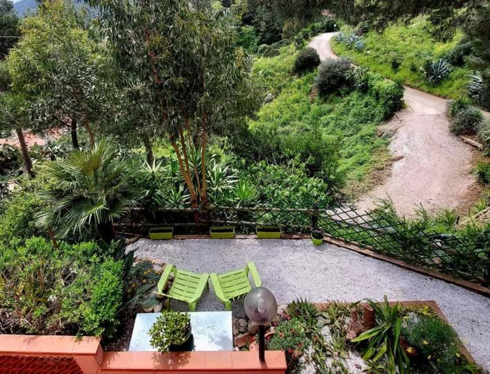 Villetta Dei Fichi D'India Rio dellʼElba Екстериор снимка